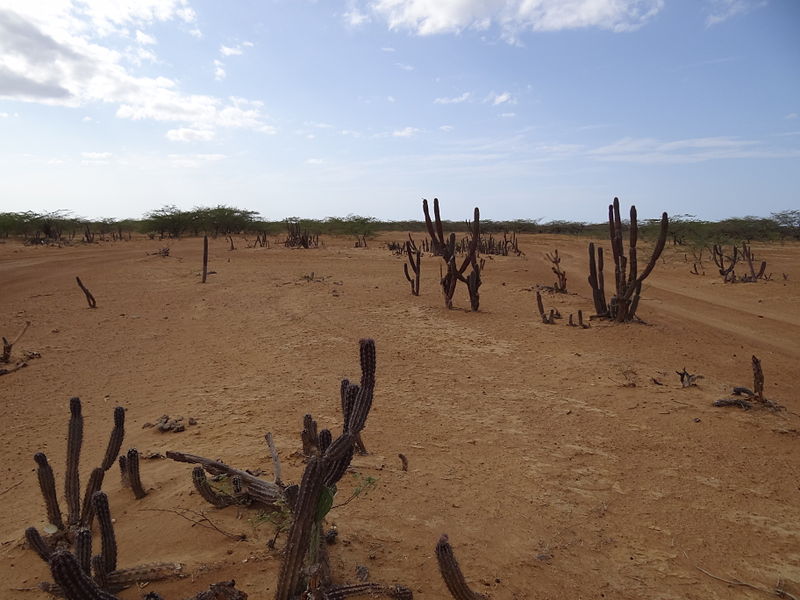 Proyecto ley garantizar acceso agua La Guajira